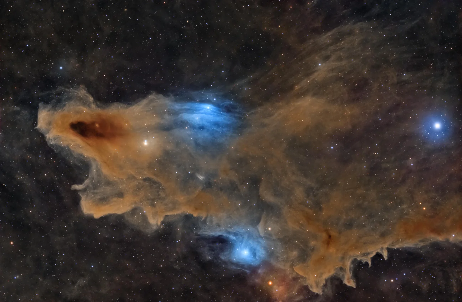 Astronomy Photographer of the Year 2026: All the Winners — Skies