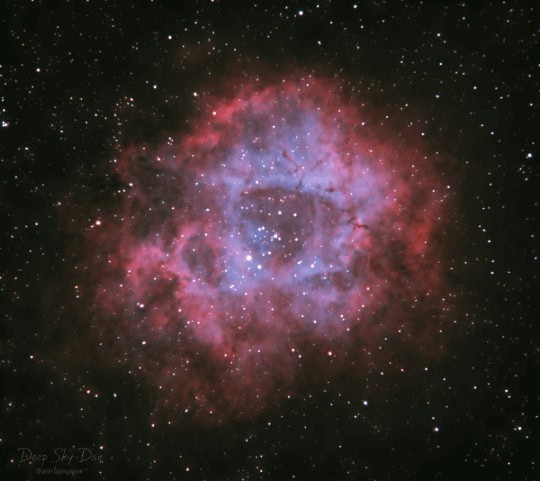 Deep Sky Dan
