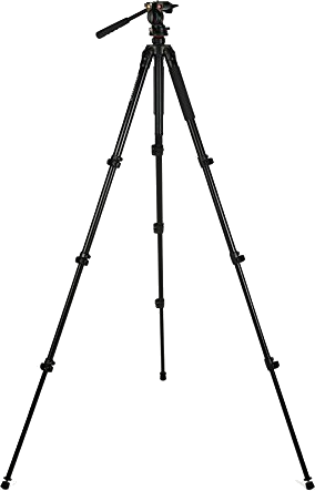 Celestron Regal Tripod