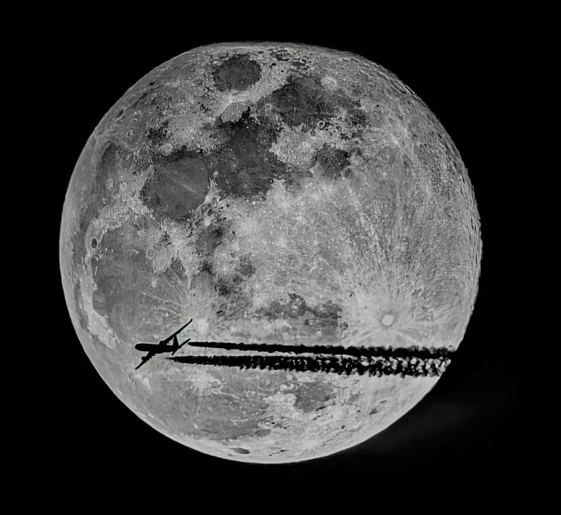 Fly Me to the Moon - Sonia Turkington