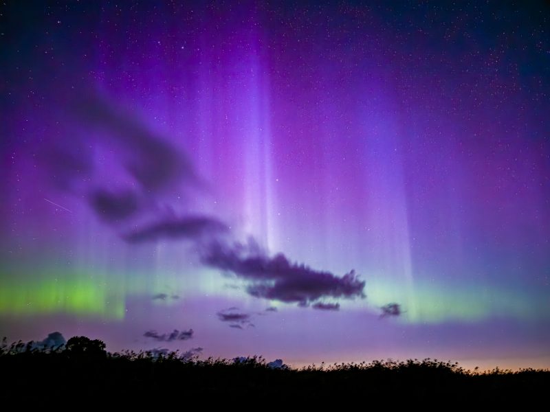 Saaremaa Aurora - Zilvinas Degutis