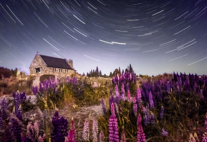 Stellar Dance Over Lavender Fields - Lucy Yunxi Hu