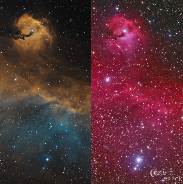 Connor Matherne differences between false and true color