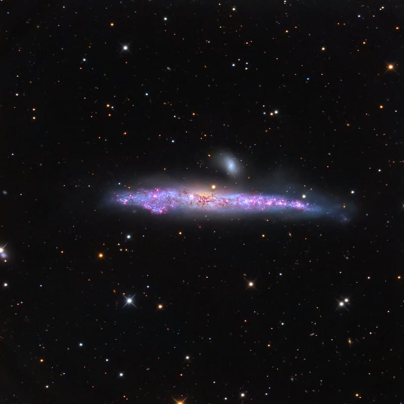 NGC4631 Leonardo Orazi
