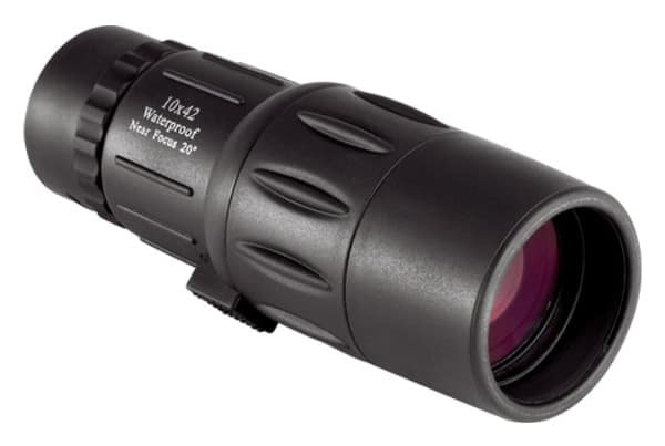 monocular vs
