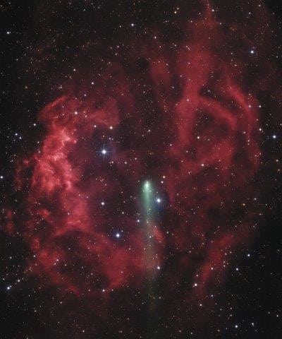 Cosmic Rose