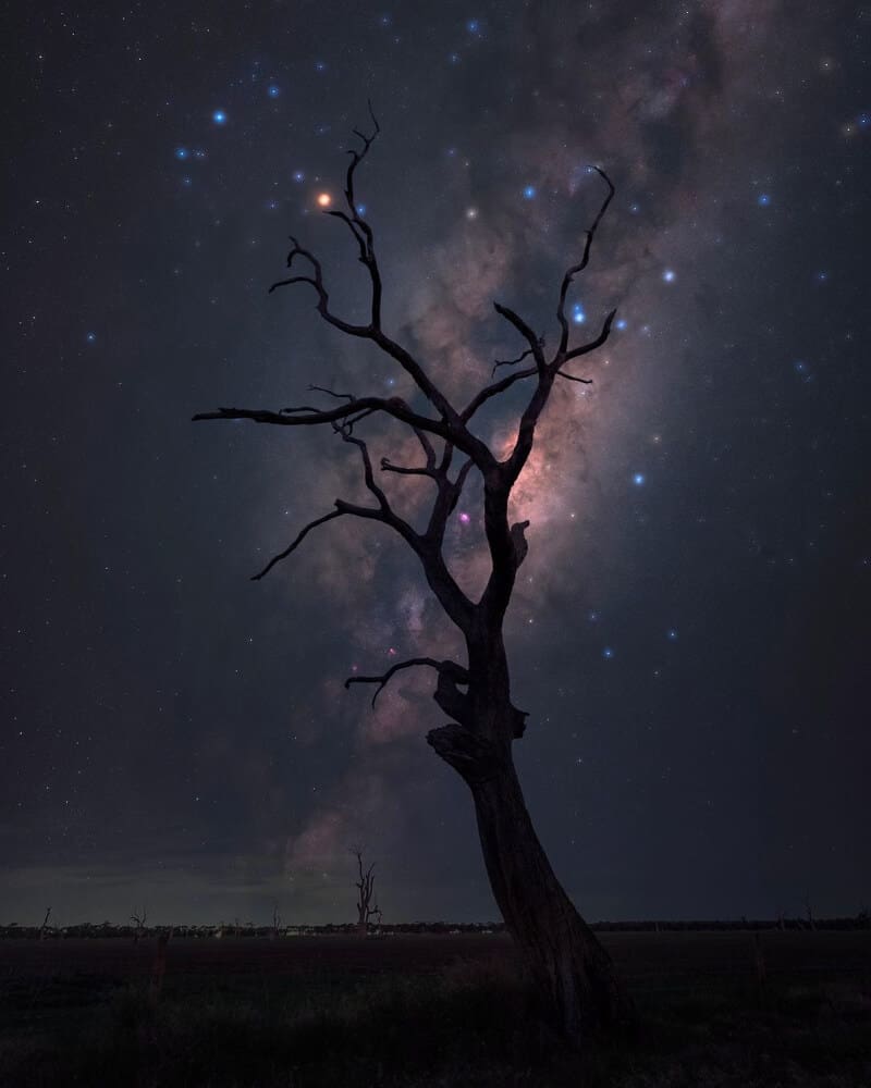 iOptron SkyGuider Pro image