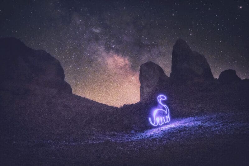 Laura Krause photography