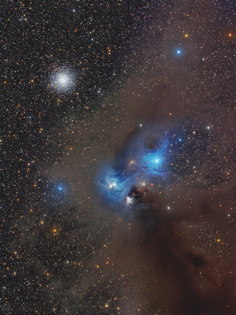 Steeve Body Corona Australis