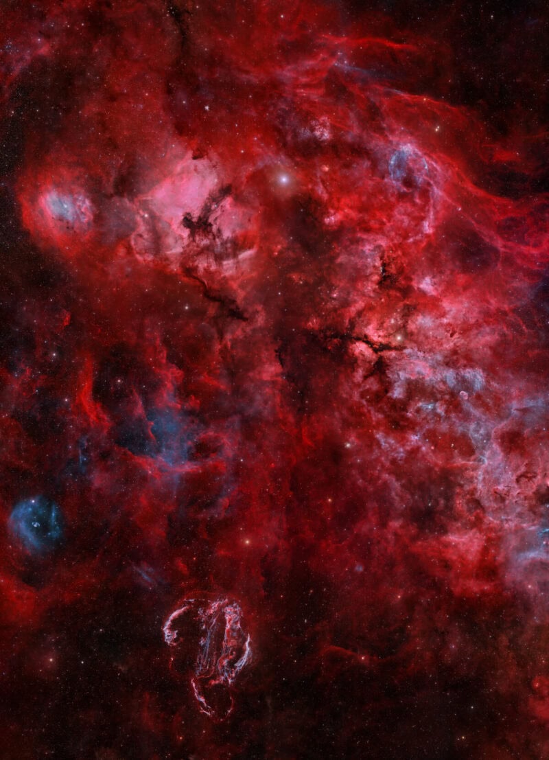 (Image Credit: Jakob Sahner)