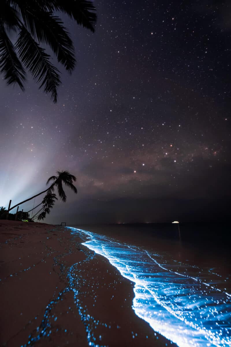 Maldives (Image Credit: Rositsa Dimitrova)