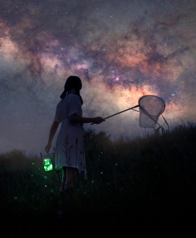 Fireflies (Image Credit: Cayetana Saiz)
