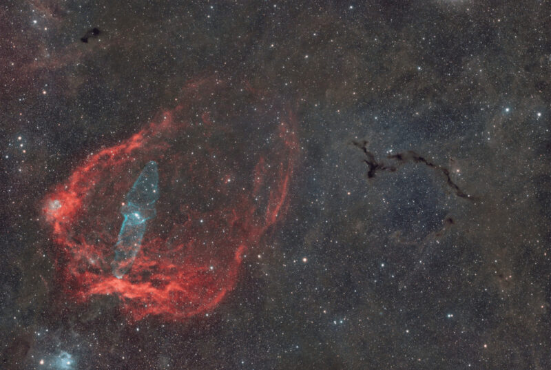 Once upon a time, there was a bat, a squid, and a seahorse (Barnard 150 Ou4 Sh2_129 LRGBHaOIII) - Simone Curzi