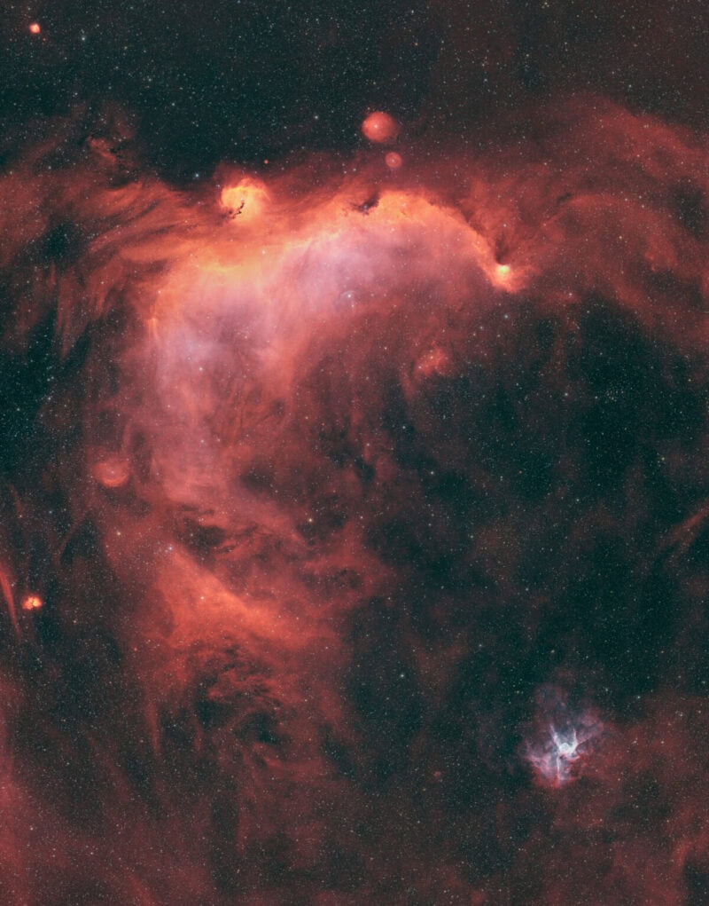 Rising from the Flames Seagull and Thor's Helmet Widefield - Simone Curzi