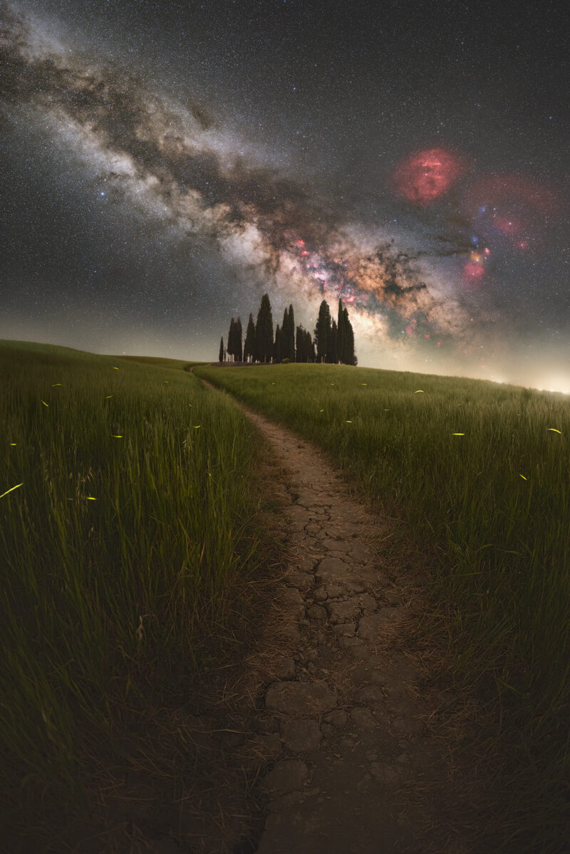 The Fireflies Road - Luca Gallucci