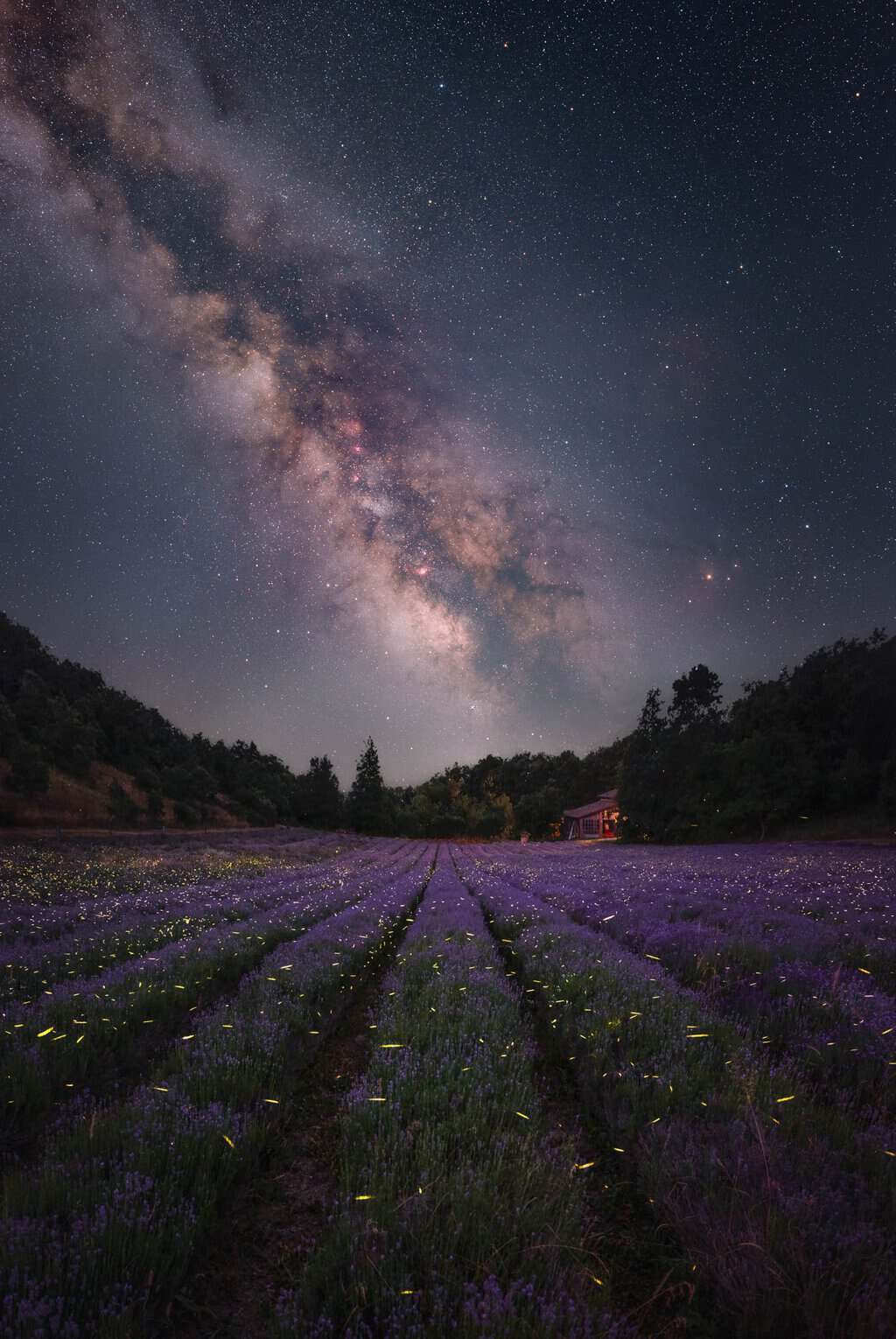 Il Giardino delle Stelle Milky Way by Luca Fornaciari